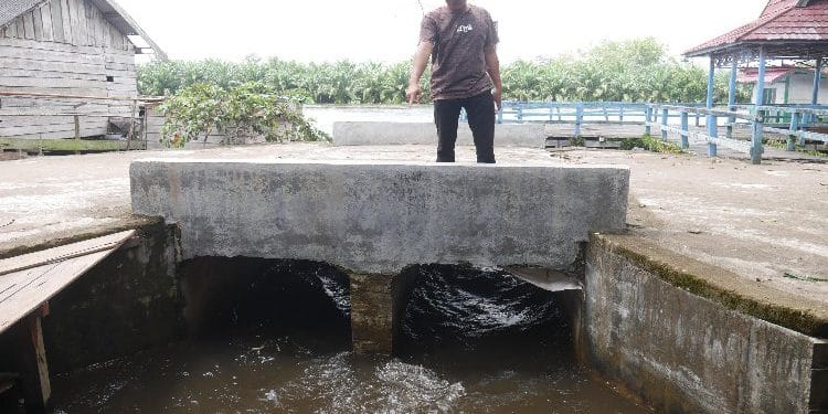 banjir cempaka baru