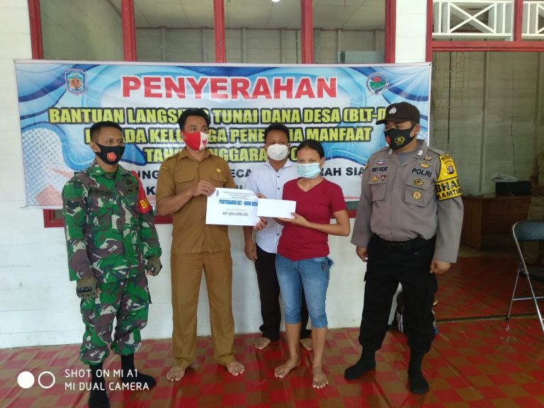 bripad
