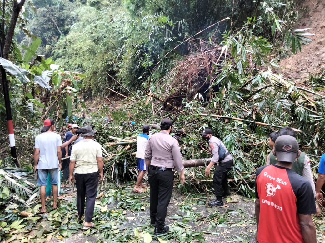 d9f6db8a-d91e-47bc-8301-b7f7e7a596dd