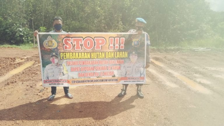 stop pembakaran hutan